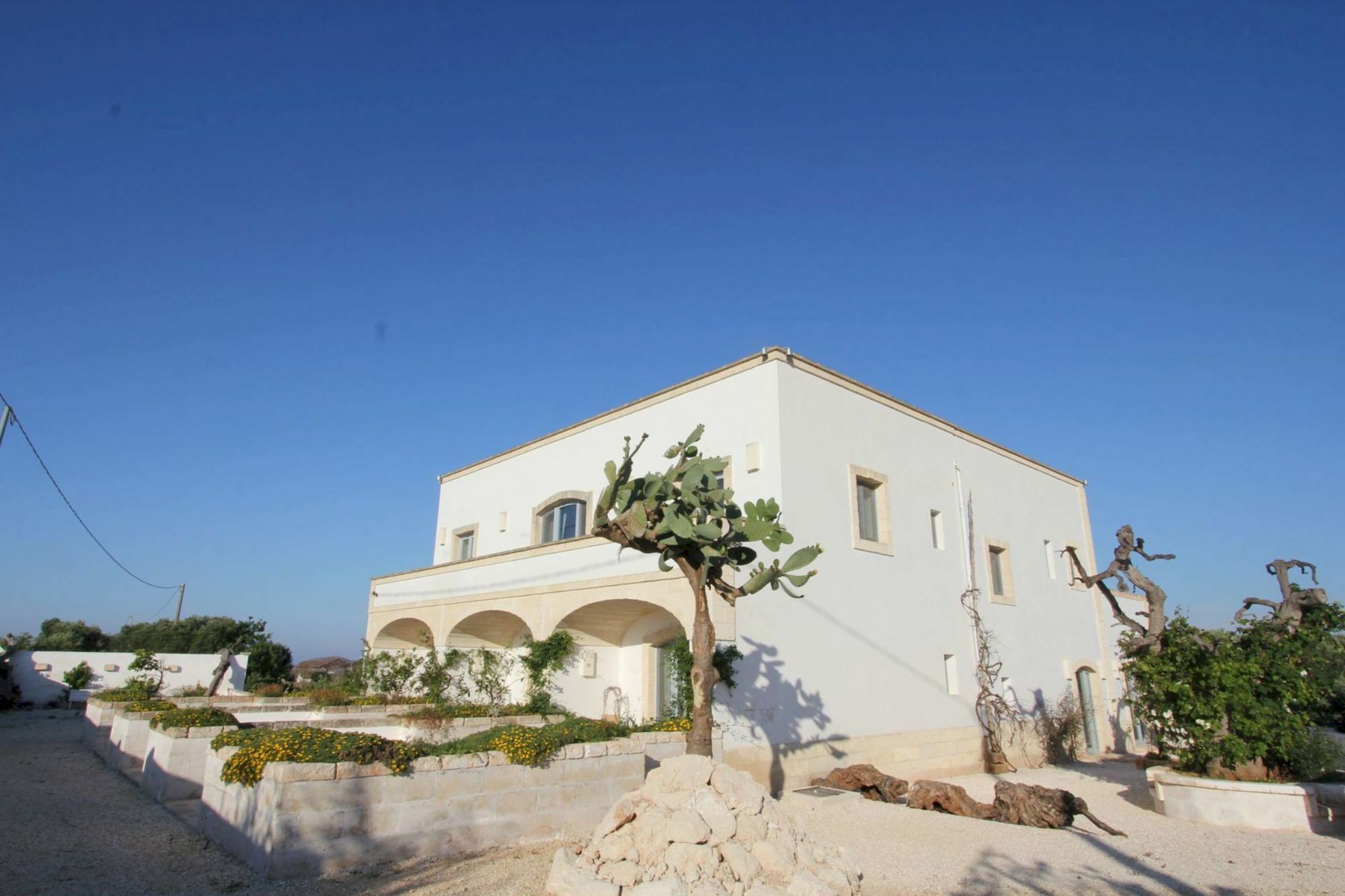 Masseria Lama Di Coccaro Savelletri Zewnętrze zdjęcie