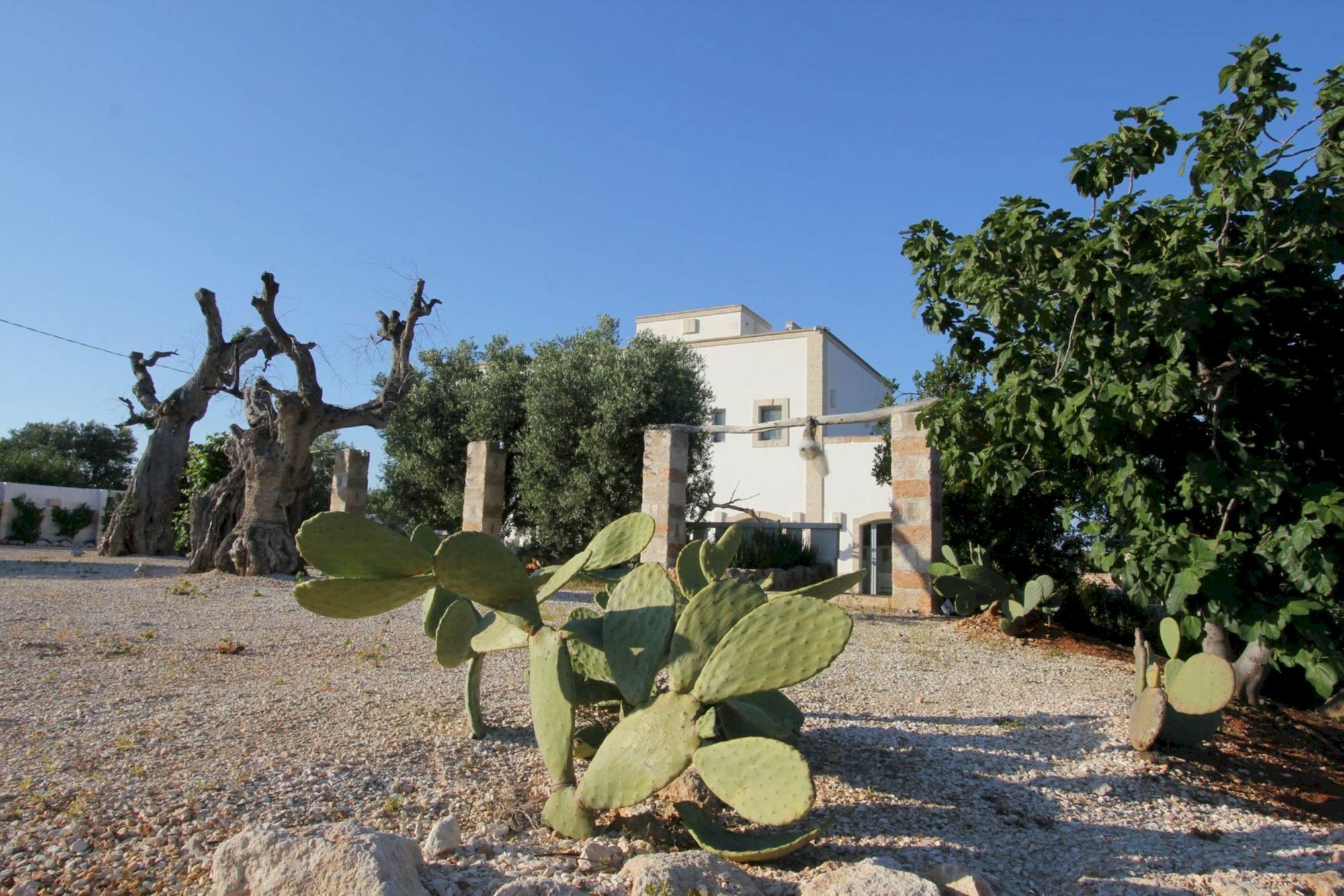 Masseria Lama Di Coccaro Savelletri Zewnętrze zdjęcie