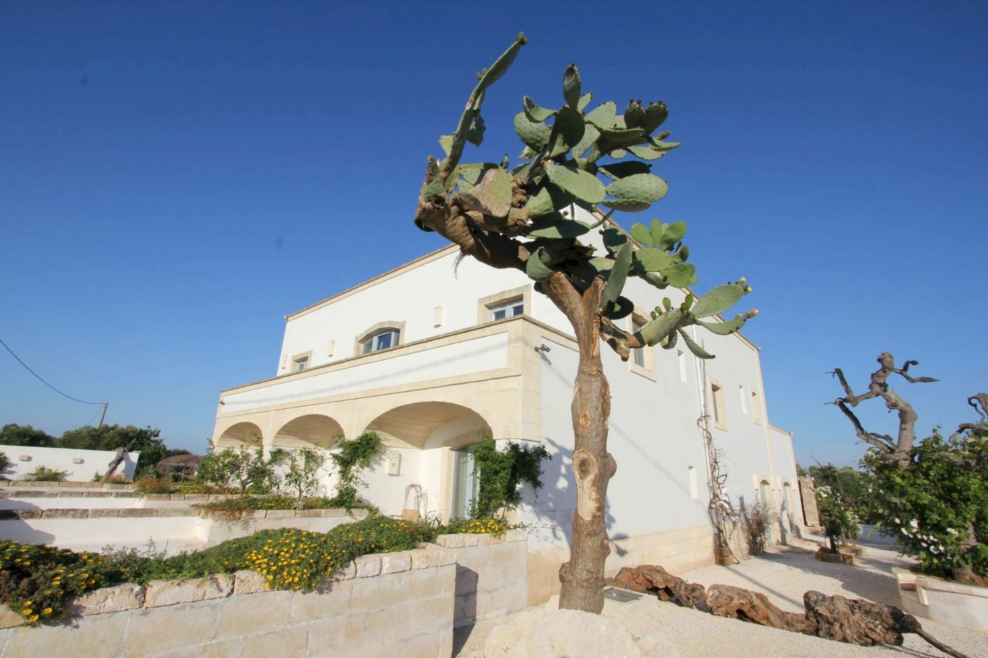 Masseria Lama Di Coccaro Savelletri Zewnętrze zdjęcie